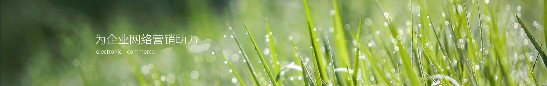 ݸи豸޹˾